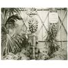 Image 4 : Set of 21 "Enchanted Tiki Room" Imagineering Photos.