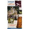 Image 2 : "Enchanted Tiki Room" Premier Gate Flyer.