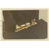 Image 7 : Set of Disneyland Ice Cream Cart Model Photos.