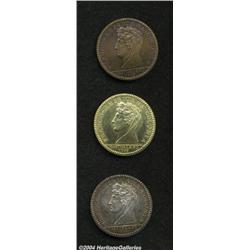 Uncertified 1796 MEDAL Castorland Medal