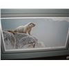 Image 2 : HOARY MARMMOT BY ROBERT BATEMAN 24354