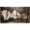 Image 1 : CAPIDEMONTE FLORAL BASKET AND SHELLS