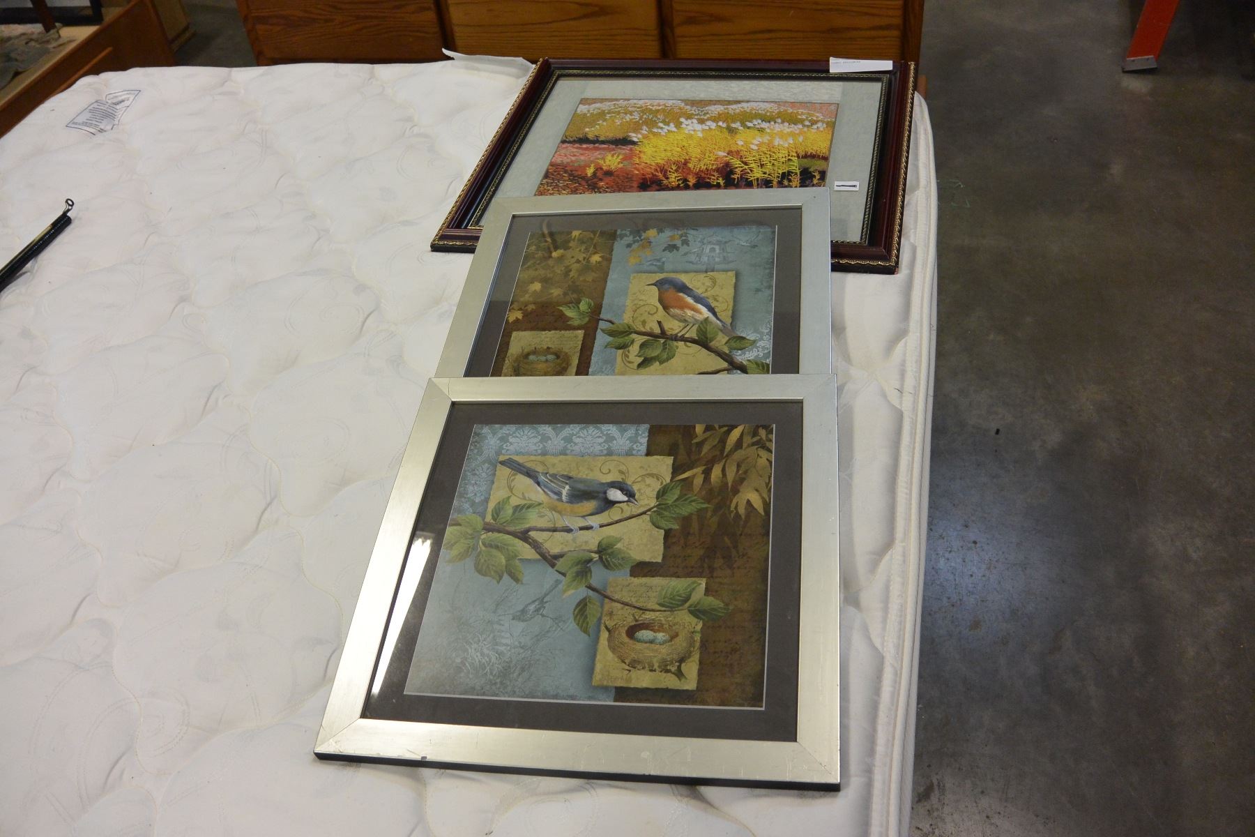 framed pictures framed pictures