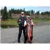 Image 2 : 2019 Alaska Kenai Peninsula Fishing Trip for Two (2) People