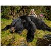 Image 2 : 7-Day Spring Coastal Black Bear Hunt for One (1) Hunter