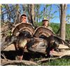 Image 1 : 3-Day Turkey Hunt in North Central Kansas for Two (2) Hunters