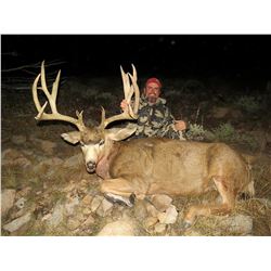 2019 Utah Henry Mtns Buck Deer Conservation Permit, Hunters Choice of Season