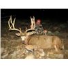 Image 1 : 2019 Utah Henry Mtns Buck Deer Conservation Permit, Hunters Choice of Season