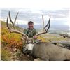 Image 3 : 2019 Utah Henry Mtns Buck Deer Conservation Permit, Hunters Choice of Season
