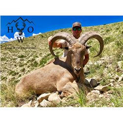 3-Day West Texas Aoudad Hunt for One (1) Hunter