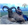 Image 2 : 3-Day West Texas Aoudad Hunt for One (1) Hunter