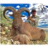 Image 3 : 3-Day West Texas Aoudad Hunt for One (1) Hunter