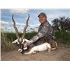 Image 1 : 6-Day Fully Guided Blackbuck & Dove Hunt For Two (2) Hunters