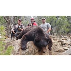 2019 Utah Statewide Black Bear Conservation Permit Multi-season