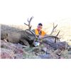 Image 2 : 2019 Utah Fillmore, Oak Creek Buck Deer Landowner Permit