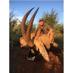 7-Day Roan Hunt For One (1) Hunter and One (1) non Hunter