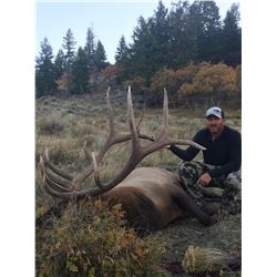 2019 Utah Book Cliffs, Little Creek Roadless Bull Elk Conservation Permit, Multi-season