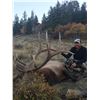 Image 1 : 2019 Utah Book Cliffs, Little Creek Roadless Bull Elk Conservation Permit, Multi-season