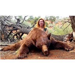 2019 Utah San Juan Black Bear Conservation Permit, Multi-season