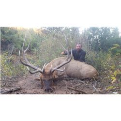 2019 Utah San Juan Bull Elk Conservation Permit,  Archery