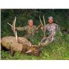 Image 2 : 2019 Utah San Juan Bull Elk Conservation Permit,  Archery