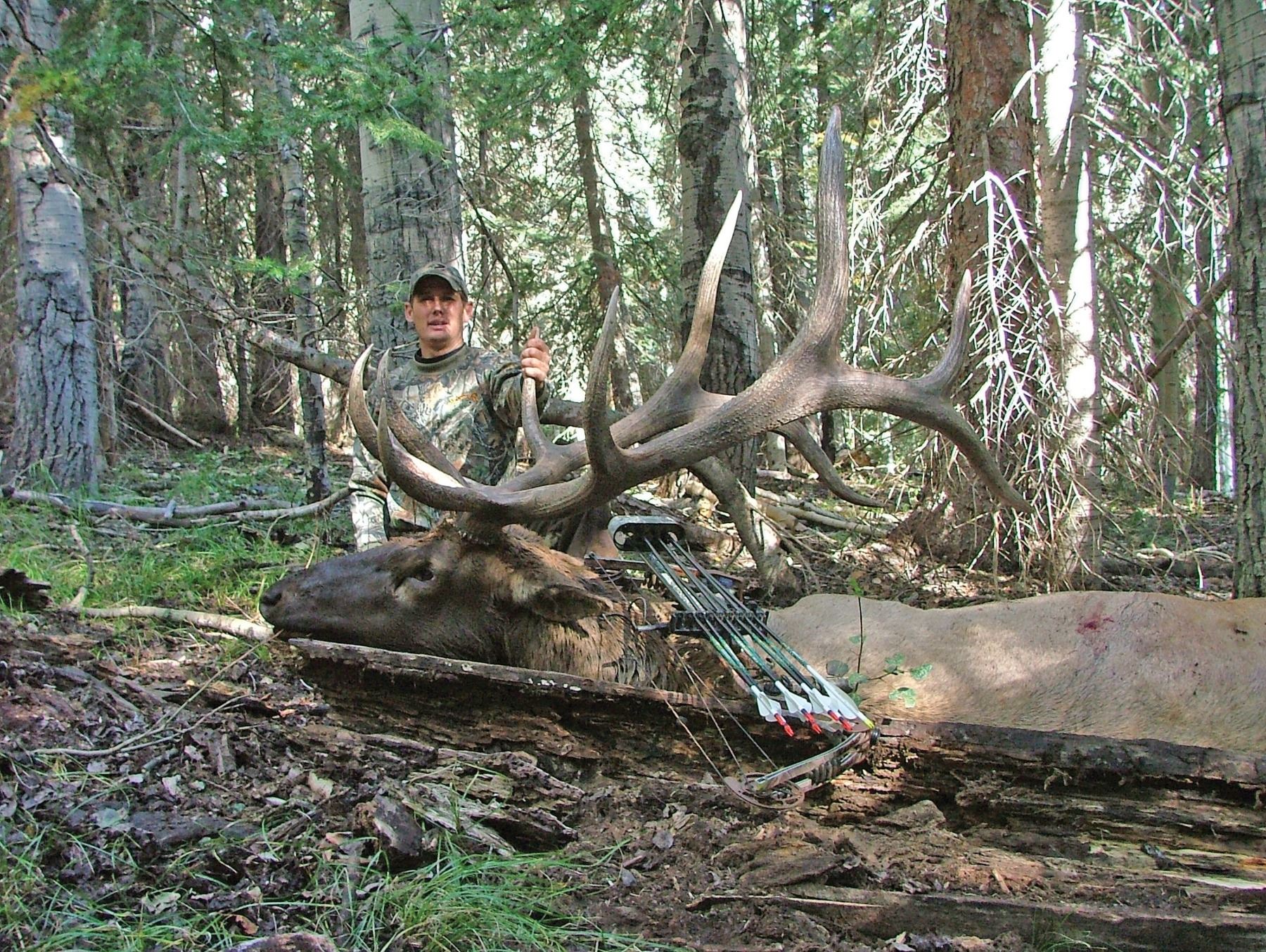 2019 Utah San Juan Bull Elk Conservation Permit, Archery