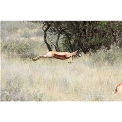 10-Day Plains Game African Hunt for Two (2) Hunters