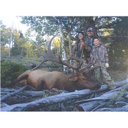 2019 Utah Plateau, Boulder/Kaiparowits Bull Elk Conservation Permit Any Legal Weapon (Rifle)