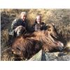 Image 4 : 5-Day Bull Tahr Hunt for One (1) Hunter in New Zealand
