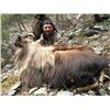 Image 6 : 5-Day Bull Tahr Hunt for One (1) Hunter in New Zealand