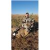 Image 1 : 5-Day Trophy Whitetail Hunt for One (1) Hunter in Kansas