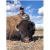 Image 1 : 2019 Utah Henry Mtns Bison Conservation Permit, Hunter’s Choice (Early), Any Legal Weapon (Rifle)