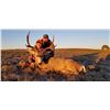 Image 2 : Youth Deer Hunt in Wyoming with Offgrid Outdoors