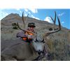 Image 3 : Youth Deer Hunt in Wyoming with Offgrid Outdoors