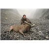 Image 1 : 7-Day Dagestan Tur Hunt - Azerbaijan
