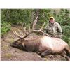 Image 1 : 2019 Utah Panguitch Lake Bull Elk, Conservation Permit, Multi-Season