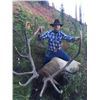 Image 3 : 8-Day 2019 Montana Mule Deer/Elk combo Hunt w/ optional Bear for One (1) hunter