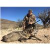 Image 2 : 3-Day Javelina & Predator Hunt in Arizona for One (1) Hunter
