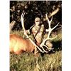 Image 1 : 5-Day Fully Guided Bull Elk Hunt in Colorado for One (1) Hunter