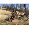 Image 3 : 2019 Turkey & Wild Hog Hunt in Northern California
