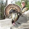 Image 4 : 2019 Turkey & Wild Hog Hunt in Northern California