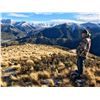 Image 3 : 4-Day Red Stag and Wild Woodstock Ram for One (1) Hunter in Southern Alps New Zealand