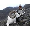 Image 1 : 10 - Day Arctic Red River Outfitters Dall Sheep Hunt for One (1) Hunter