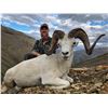 Image 2 : 10 - Day Arctic Red River Outfitters Dall Sheep Hunt for One (1) Hunter
