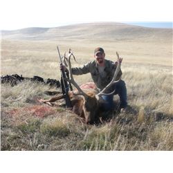 Multi Zone California Elk Permit