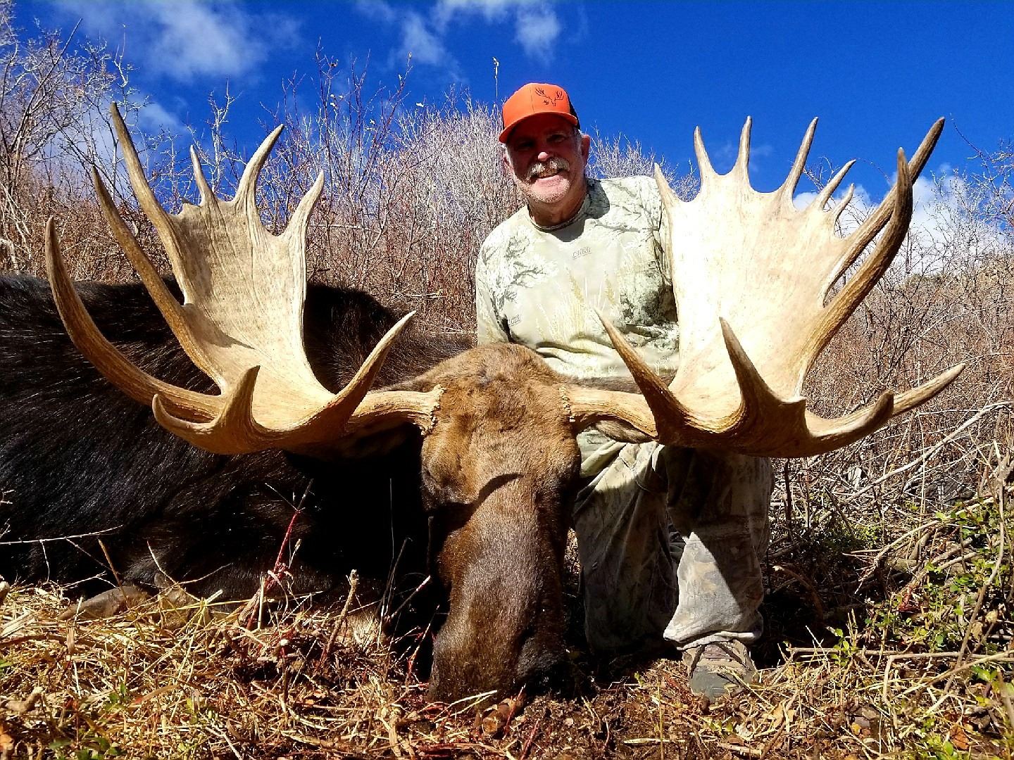 2019 Utah Statewide Bull Moose Conservation Permit