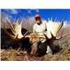Image 3 : 2019 Utah Statewide Bull Moose Conservation Permit