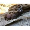 Image 3 : 2019 Utah Nine Mile, Gray Canyon Rocky Mountain Bighorn Sheep Conservation Permit, Any Legal weapon