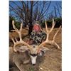 Image 3 : 2019 Utah Fillmore, Oak Creek Buck Deer Conservation Permit, Hunter’s Choice