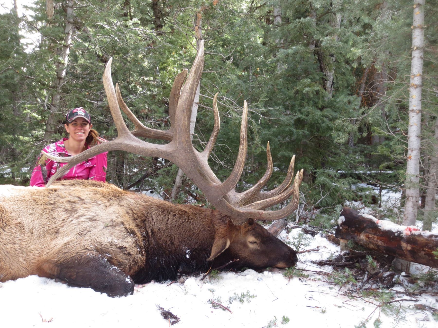 2019 Utah Statewide Bull Elk Conservation Permit